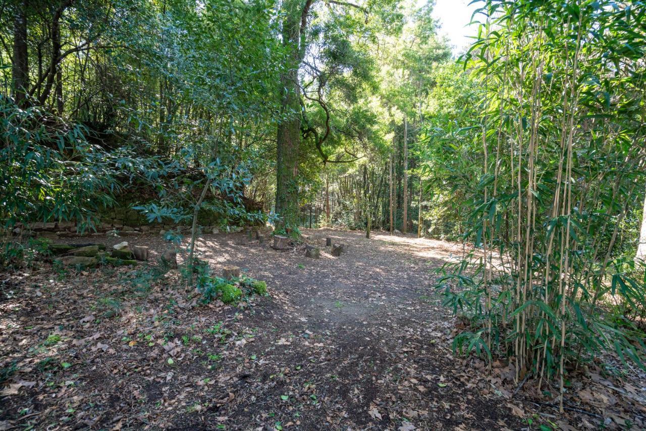 Quinta das Lamas - Antiga Adega Vouzela Exterior foto